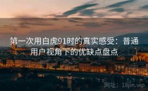 第一次用白虎<strong>91</strong>时的真实感受：普通用户视角下的优缺点盘点