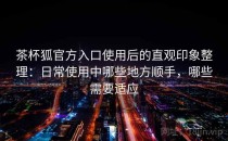 茶杯狐官方入口使用后的直观印象整理：日常使用中哪些地方顺手，哪些需要适应