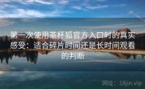 第一次使用茶杯狐官方入口时的真实感受：适合碎片时间还是长时间观看的判断