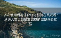 多次使用后再评价蜂鸟影院在线观看：从进入首页到播放完成的完整体验过程