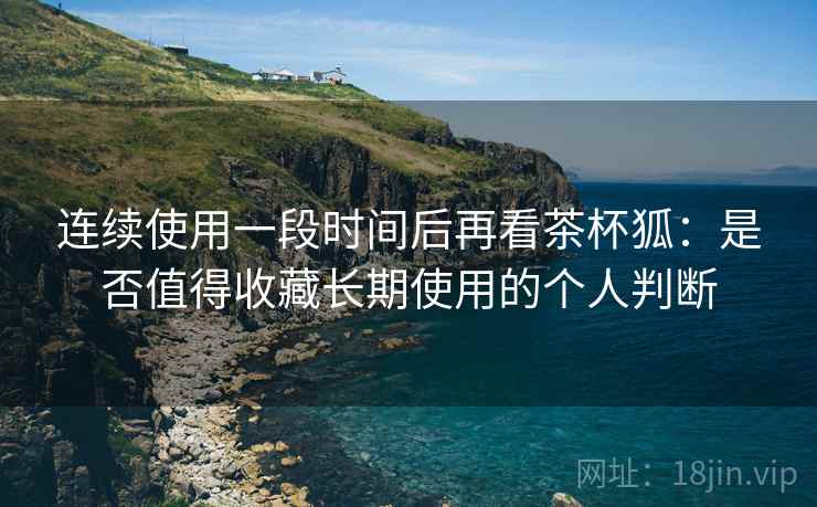 连续使用一段时间后再看茶杯狐：是否值得收藏长期使用的个人判断  第1张